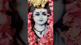 Murugan 🙏 velmuruga velavan velayudham murugan kandha saravanabhava devotional [upl. by Finkelstein316]