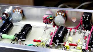 Small Tube Amp Build  Step by Step 7  Pots Switches Small Demo [upl. by Kcid288]