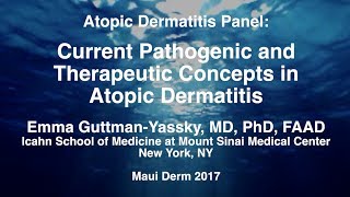 Atopic Dermatitis Pathogenesis [upl. by Ahsertal]