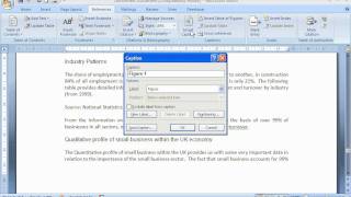 Use AutoCaption in Microsoft Word 2007 [upl. by Acire967]