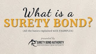 What are Surety Bonds Explained with Examples [upl. by Eiramyma]