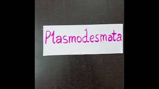 biologyshorts biologyvocabulary plasmodesmata plantcells [upl. by Eizzil175]