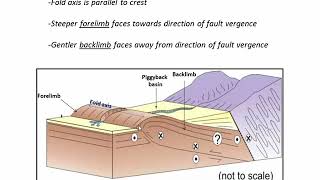 Fold and Thrust belts an example from the Andes C7 [upl. by Onilatac]