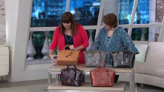 Dooney amp Bourke Selleria Florentine Leather Domed Satchel on QVC [upl. by Imogene]