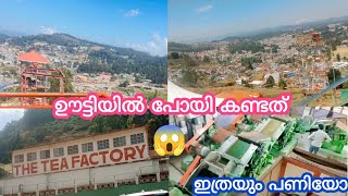 Tea factory chocolate factory ootty  അങ്ങനെ ചായപ്പൊടി ഉണ്ടാക്കാൻ പഠിച്ചു [upl. by Dranik722]