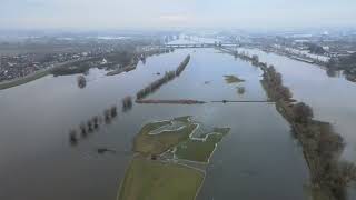 Hoog water Zutphen december 2023 [upl. by Magen380]