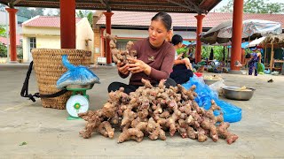 How to harvest ant eggs and red galangal roots to sell at the big marketLý Thị Mẩy Kun [upl. by Zitah]