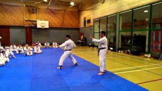 Yamaguchi Sensei teaching Empi [upl. by Beasley]