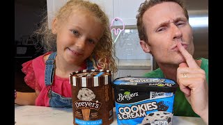 BREYERS vs DREYERS Cookies amp Cream Meltdown [upl. by Nicholl]