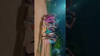 Nalla nagulamma songbathukamma dance folksong bathukamma2024 bathukammamashup [upl. by Marys]