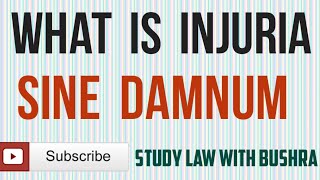 What is Injuria Sine Damnum I Kinds of Injuria I Law of Torts [upl. by Lertnek]