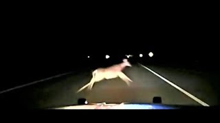 Dashcam shows deputy sheriff hitting deer at 114 mph [upl. by Oeak]