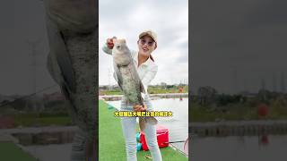 Meyeta brchi diye ki bach dorche  Fishing Video fishingshorts fishing polofishing fish shorts [upl. by Anivid]