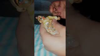 Laddu Gopal beautiful shringar video status video [upl. by Hawken]