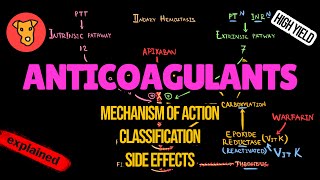 ANTICOAGULANTS Mechanism of action Side effects Pharmacology of Blood clotting [upl. by Eralc]