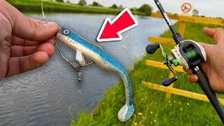 Canal Pike Fishing with WEEDLESS Lures [upl. by Ayel]