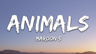 Maroon 5  Animals Lyrics [upl. by Wilsey728]