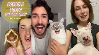 BONGOLA BONGO CHA CHA CHA ANIMAL FACE SWAP WITH TIKTOK  FUNNIEST TIKTOK FACE SWAPS [upl. by Vasiliki]