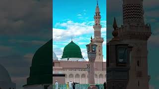 mera aaka ka roza madina me hii viralvideo youtubeshorts 💚💚 [upl. by Ytrebil]