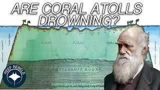 Are Coral Atolls Drowning From Sea Level Rise [upl. by Hightower]