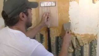 DIY Wallpaper Removal [upl. by Colin]