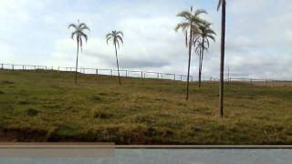 FAZENDA SANTA CRUZwmv [upl. by Niemad]