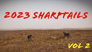 Sharptail Hunting  2023  Vol 2 [upl. by Lacey449]