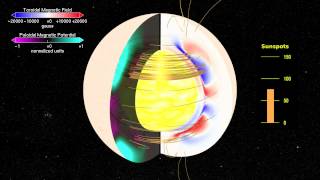 Solar Dynamo  Toroidal and Poloidal Magnetic Fields [upl. by Dis]