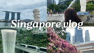 singapore mini vlog [upl. by Relyhcs]