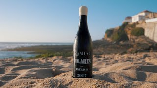 Discover Ramilo Wines from the Colares Region [upl. by Shantee]