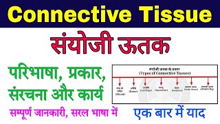 sanyoji utak  connective tissue in hindi  connective tissue anatomy and physiology  animal tissue [upl. by Colon407]