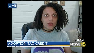 Tax Tips Adoption Tax Credit Explained [upl. by Notlad]