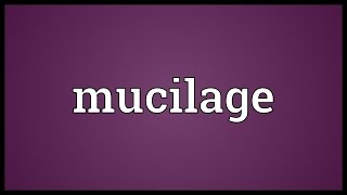 Mucilage Meaning [upl. by Amalee557]