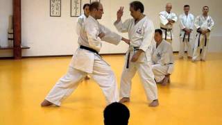 Takagi Swiss Seminar 2011 [upl. by Glaser]