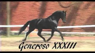 Generoso XXXIII [upl. by Brogle]