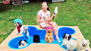 Puppy Soccer amp Spa Day Dog Bathing and Grooming  Little Big Toys [upl. by Annoirb]