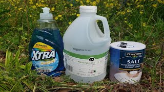 Natural Homemade Weed Killer Recipe Tested by Lawn Care Pro [upl. by Nnylyahs913]