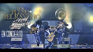 Los Plebes del Rancho de Ariel Camacho En Concierto En Vivo HD [upl. by Boy]