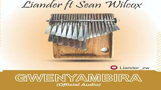 LianderGwenyambira ft SeanWilcox [upl. by Gustave768]