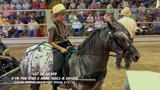 Kalona Monthly Horse Sale amp Pony Special 6523 [upl. by Bevvy950]