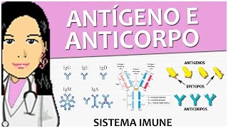 Imunologia 08  Antígeno e Anticorpo  Vídeo aula de sistema imune [upl. by Naima]