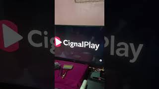 Cignal Play TV 2024 [upl. by Nnahgaem]