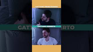 Onesti siete esperti o principianti 🐈‍⬛🥹 cat gattonero gatto memes garfield pets [upl. by Ralyat]