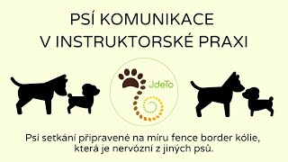 Komentované psí setkání  fenka border kólie nervózní z jiných psů [upl. by Terriss]