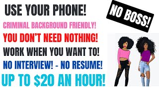 Background Friendly No Interview Work From Home Job  Work When You Want Up To 20 An Hour [upl. by Aisatsana567]