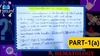 Haematopoiesis  Blood cells formation  Different states of haematopoiesis  Bone marrow [upl. by Dong635]