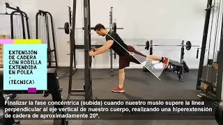 Extensión de cadera con rodilla extendida en polea Técnica y Musculatura implicada [upl. by Uwton]