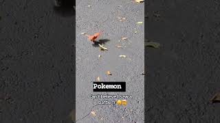 Pidgeot vs Scyther IRL 🤣🤣 pokemon pokemontcg [upl. by Ducan713]