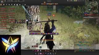 Black Desert  Ninja PvP Node War after class balance 20240627 [upl. by Uda]