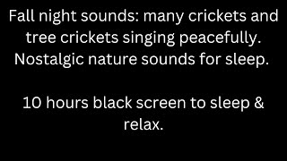 Crickets amp tree crickets sing calmly on fall night black screen sleep relax 10 hour cricket sounds [upl. by Aliekahs88]